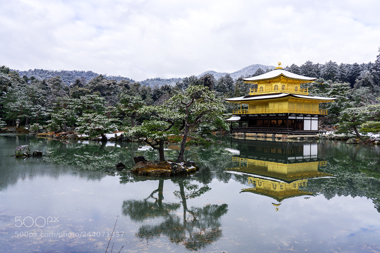 Sony a7R III sample photo. Dsc photography
