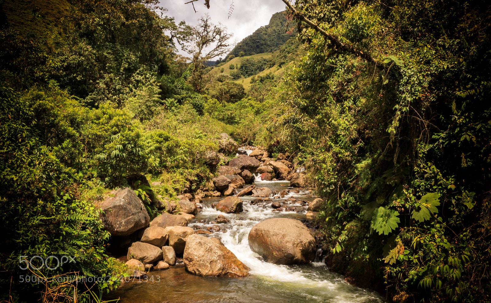Canon EOS 750D (EOS Rebel T6i / EOS Kiss X8i) sample photo. Waterfall in jardin photography