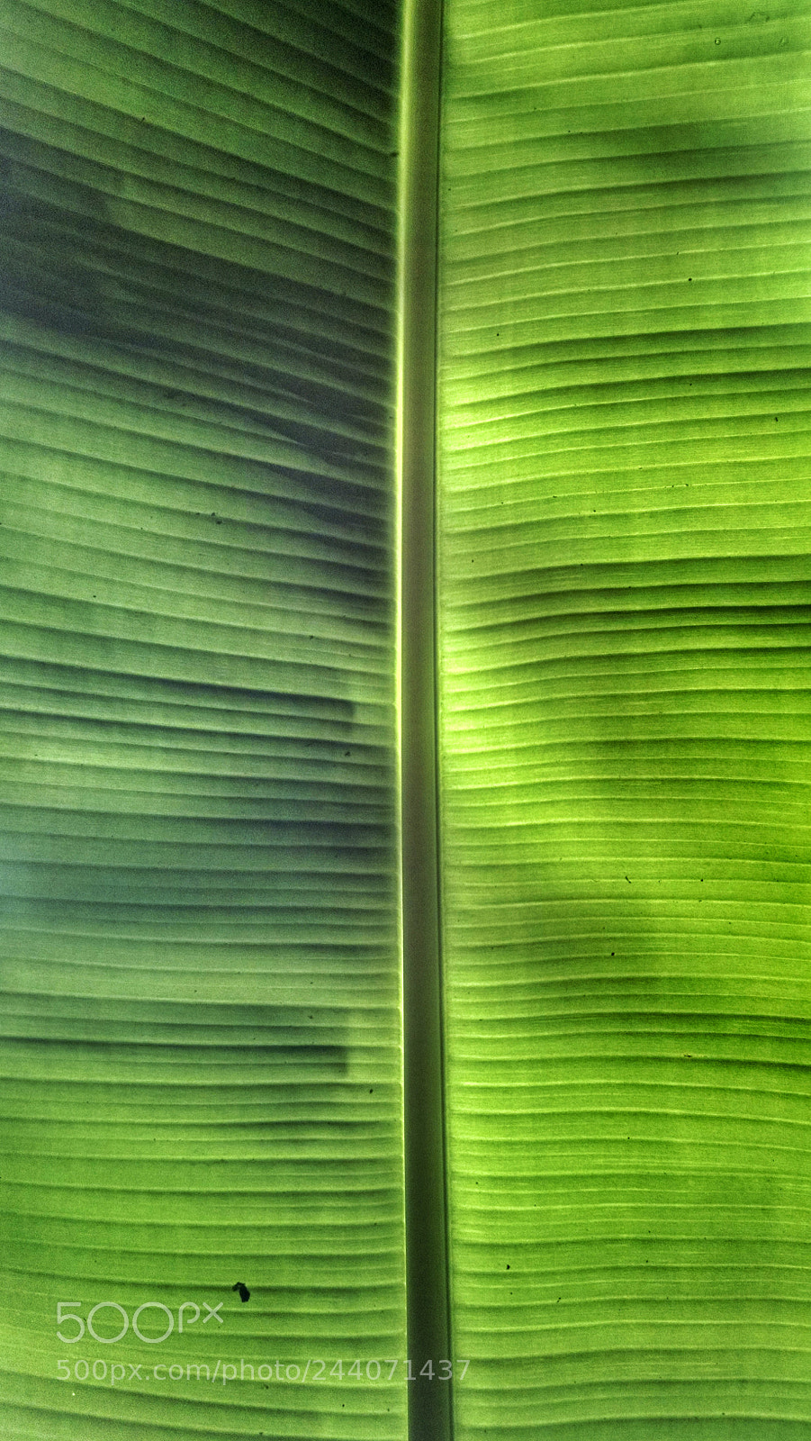 Motorola Moto X (1st Gen) sample photo. Symmetry photography