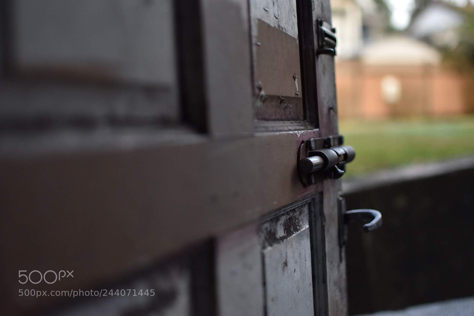 Nikon D5500 sample photo. Untitled photography