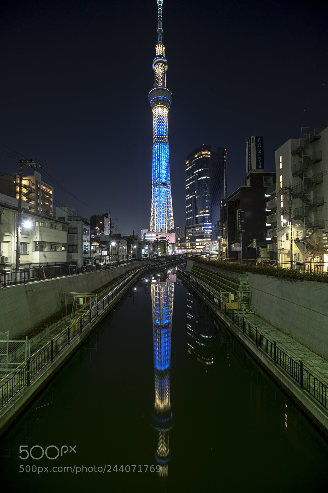 Nikon D850 sample photo. Sky tree. photography