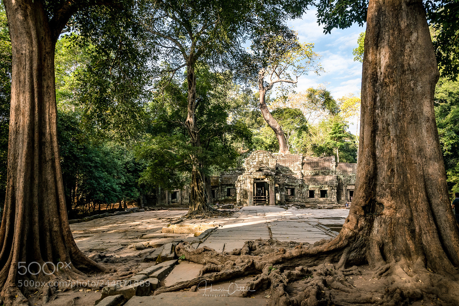 Nikon D5500 sample photo. Ta prohm morning photography