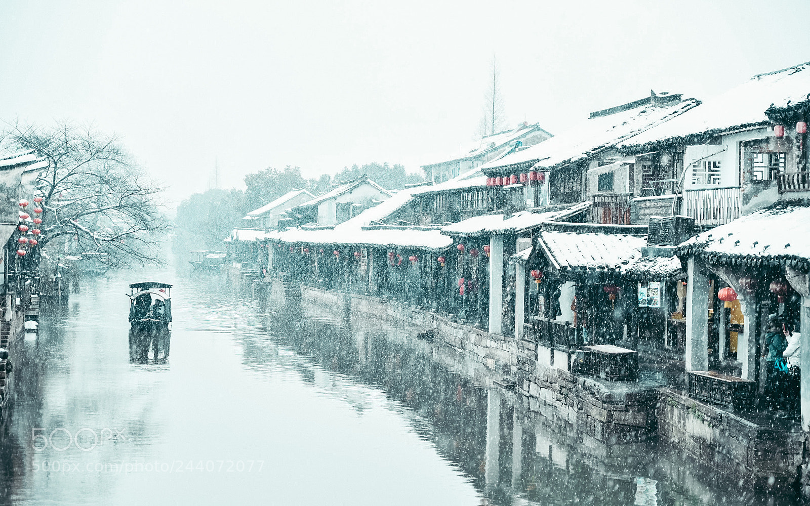 Nikon D5 sample photo. The town of snow photography