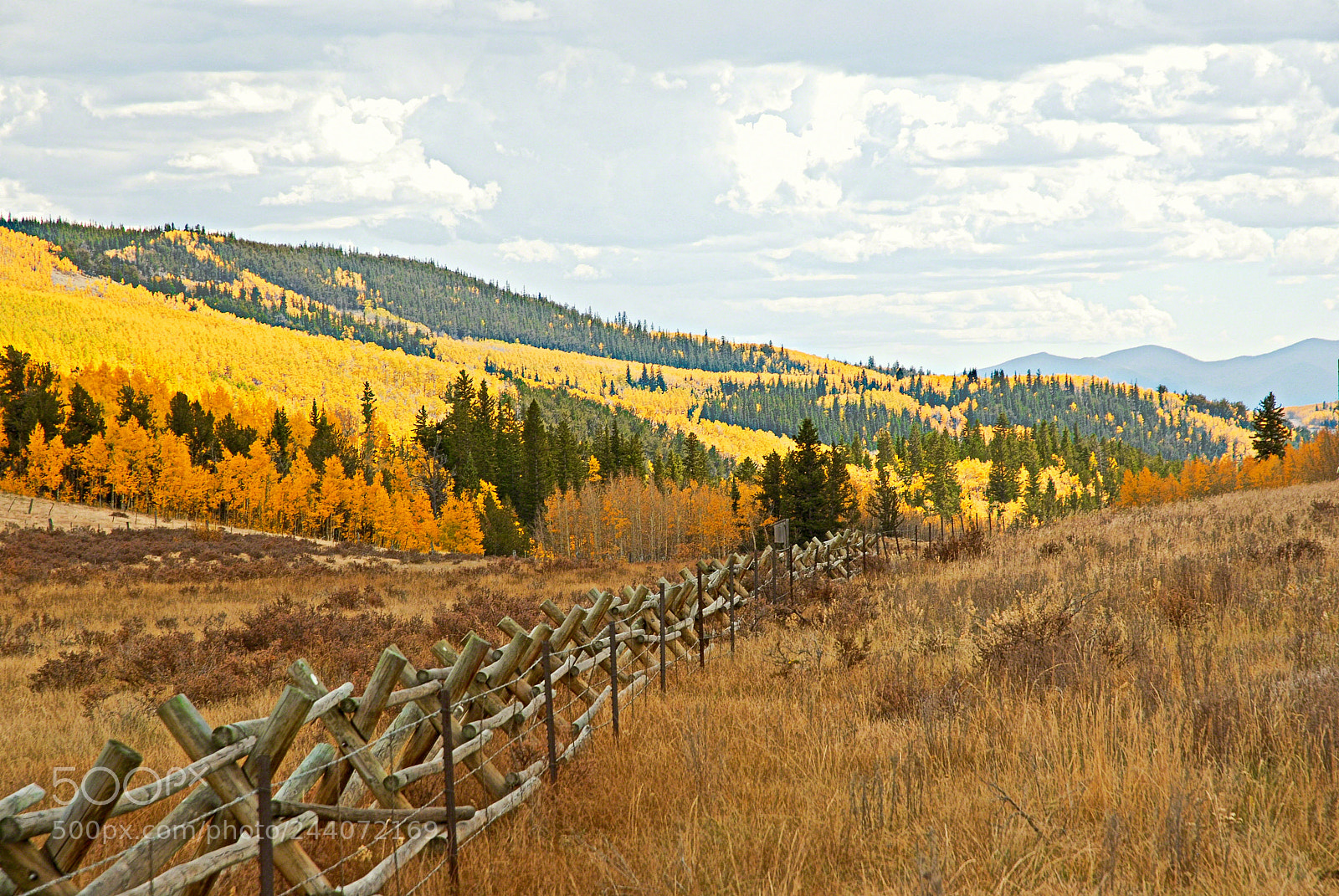 Nikon D200 sample photo. Kenosha pass aspens 5 photography