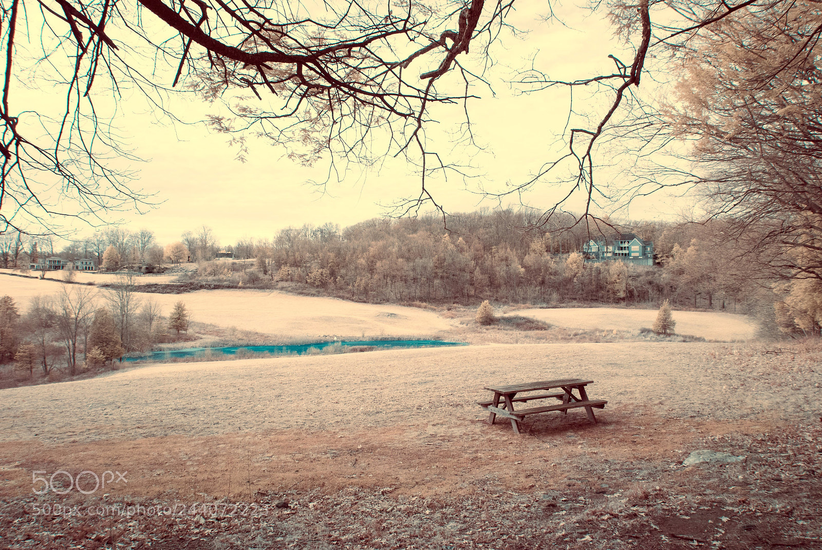 Nikon D40X sample photo. The lonely fields photography
