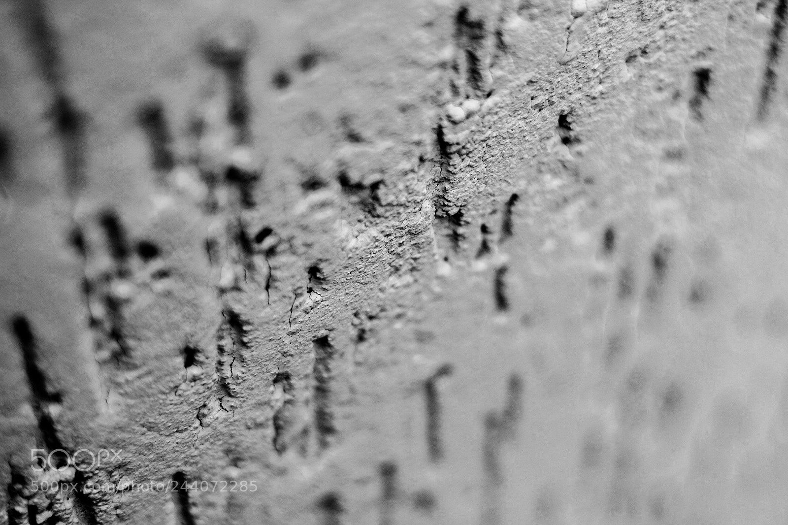 Canon EOS 700D (EOS Rebel T5i / EOS Kiss X7i) sample photo. Black & white wall photography