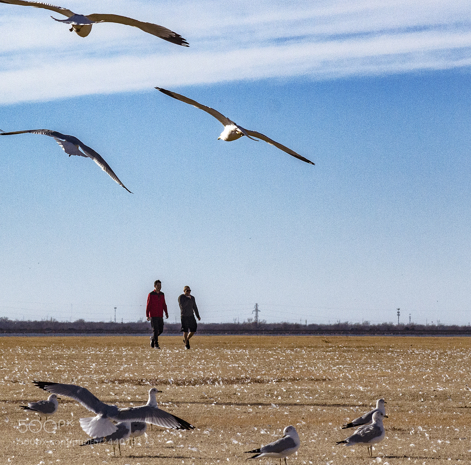 Canon EOS 700D (EOS Rebel T5i / EOS Kiss X7i) sample photo. Lake hefner photography