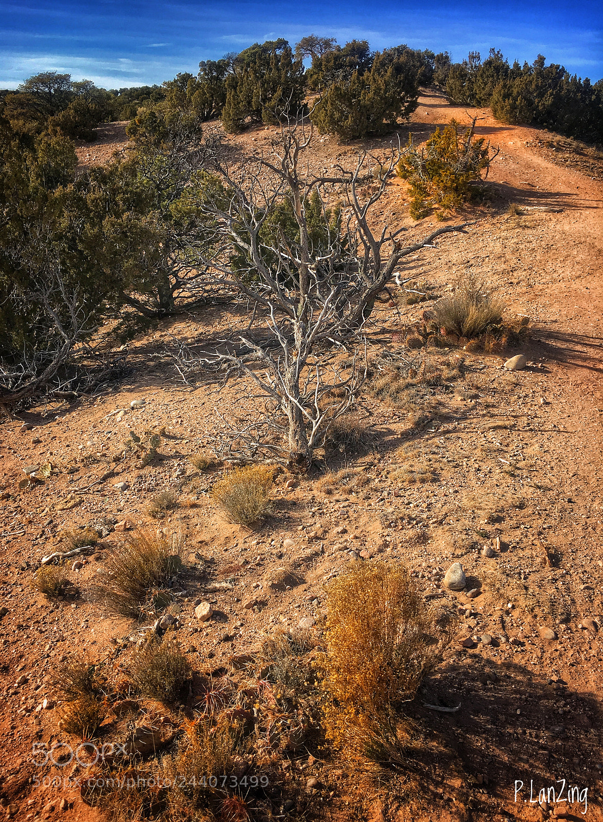 Apple iPhone 6s sample photo. Meditation, santa fe hillside... photography