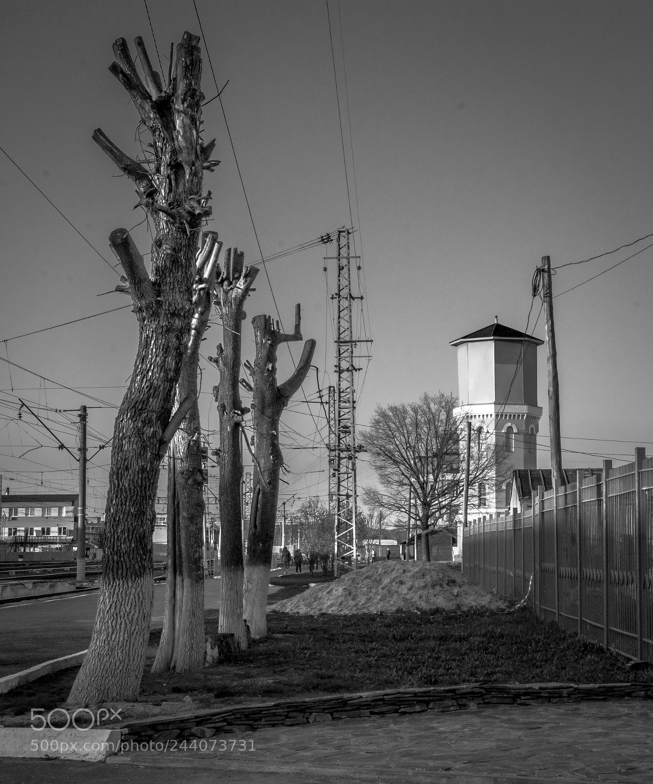 Nikon D7100 sample photo. *** photography