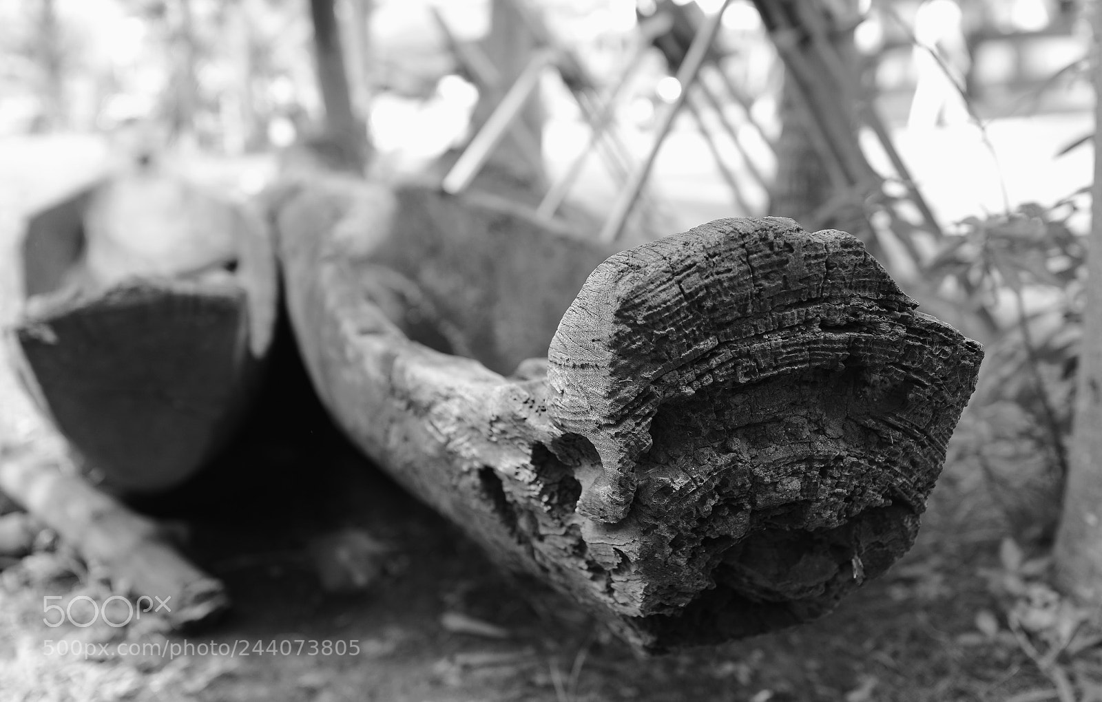 Nikon D800E sample photo. Time photography