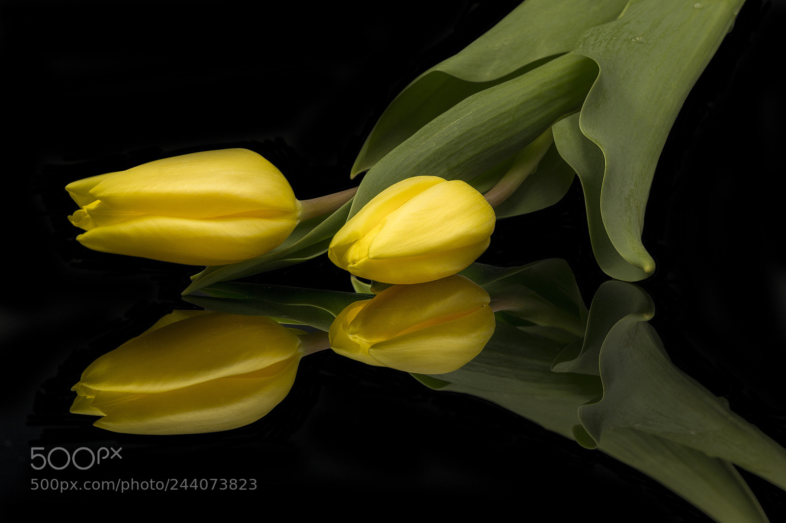 Nikon D7100 sample photo. Spiegelung photography