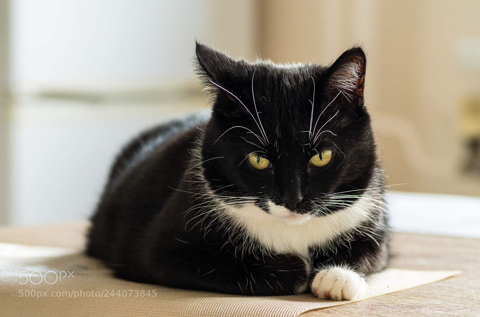 Pentax K-30 sample photo. Leeloo photography