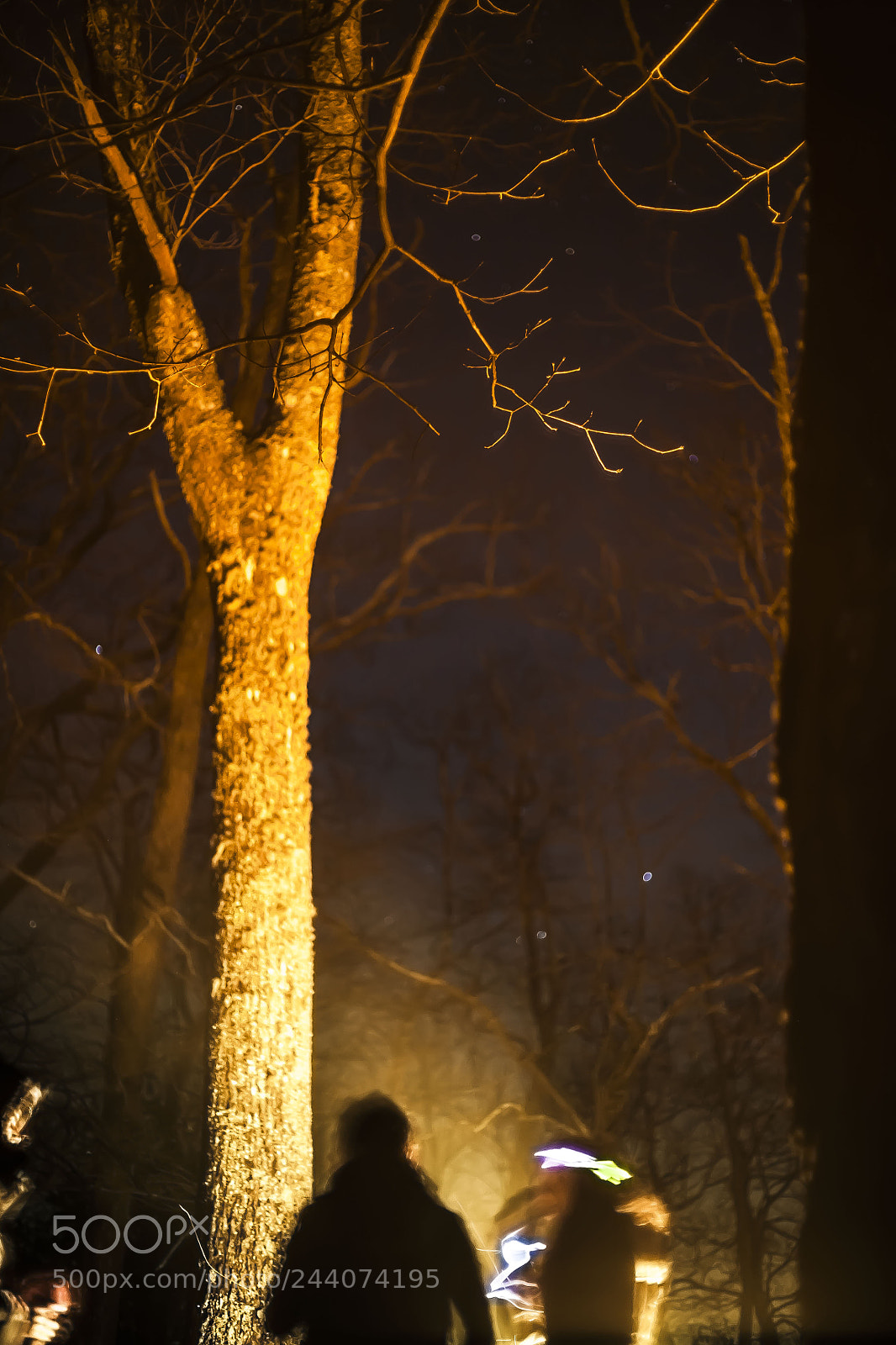 Canon EOS 5D sample photo. Fiery photography