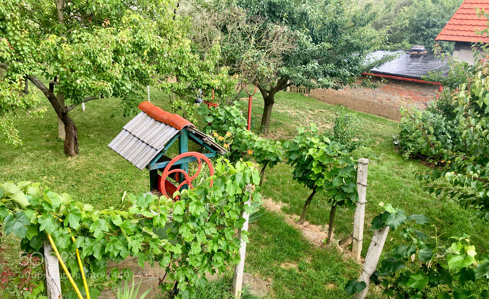 Apple iPhone SE sample photo. Well-maintained garden in small-town photography