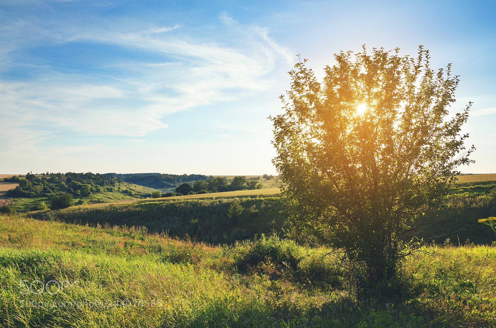 Nikon D5100 sample photo. Summer scene photography