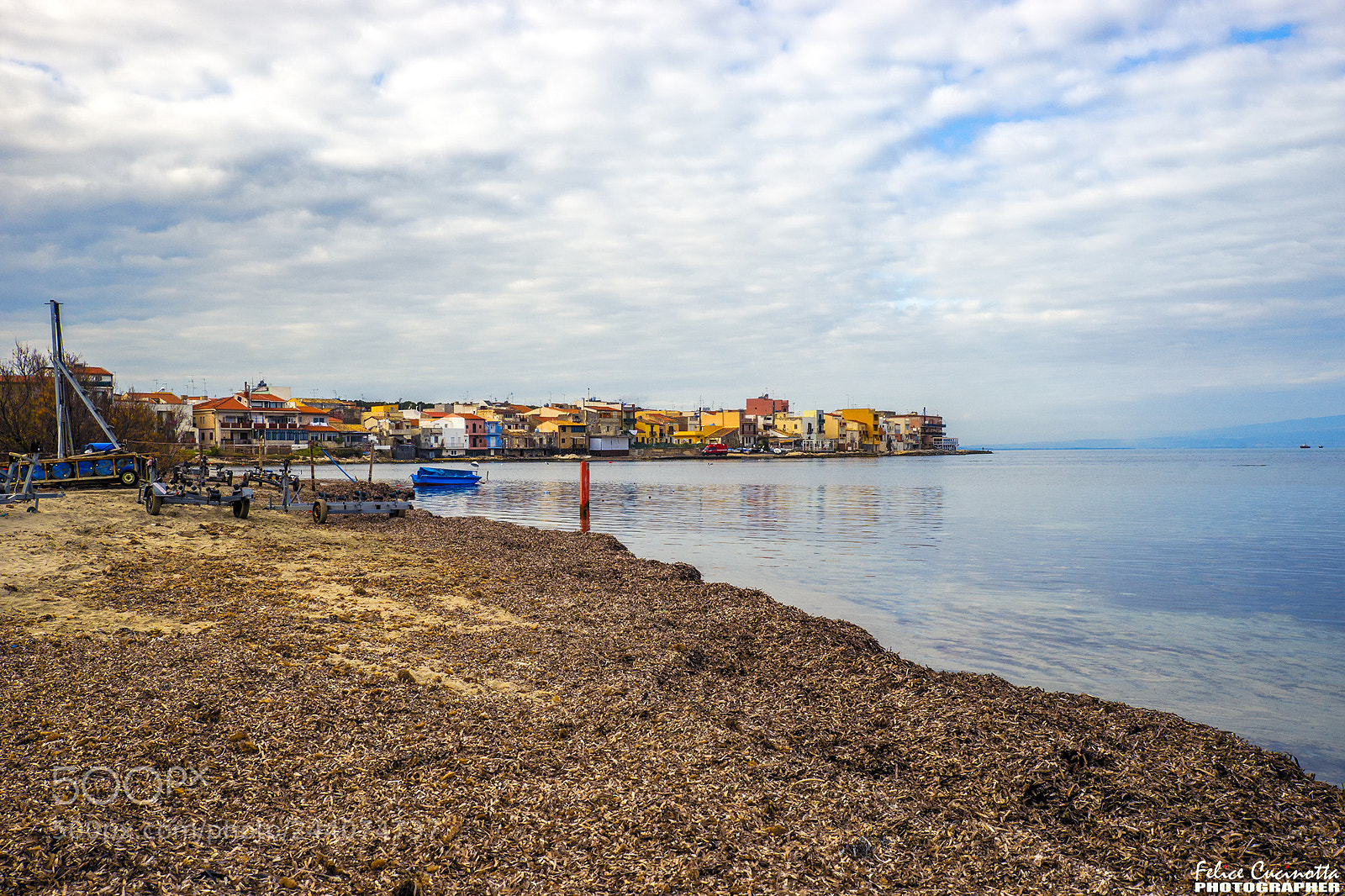 Sony SLT-A99V sample photo. Brucoli photography