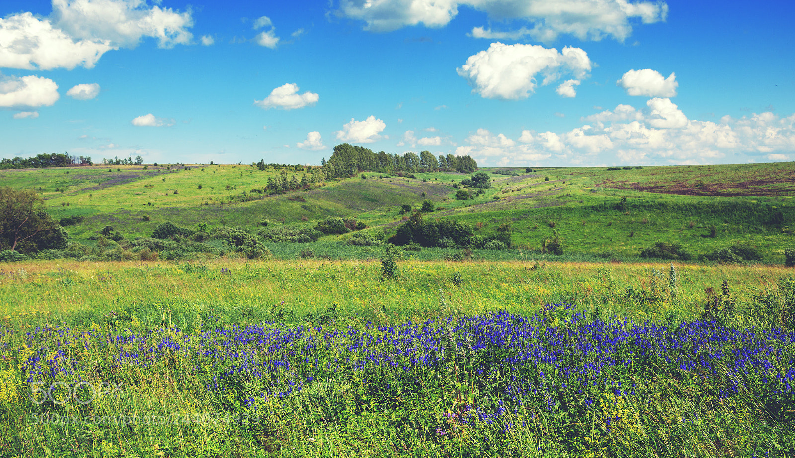 Nikon D5100 sample photo. Landscape with blue meadow photography