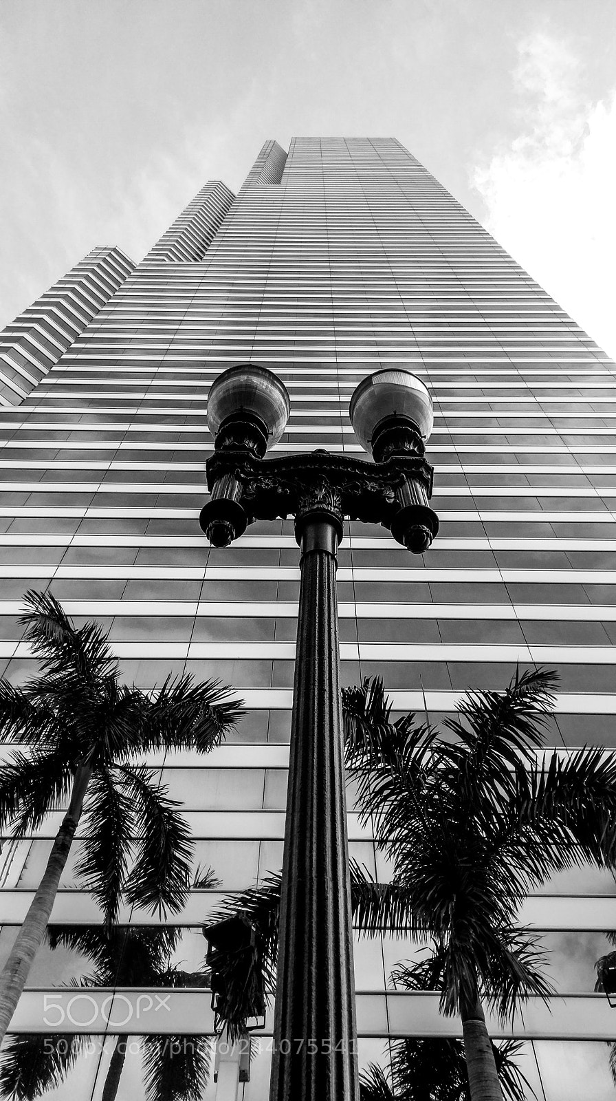 HTC 10 sample photo. Heading to the top photography