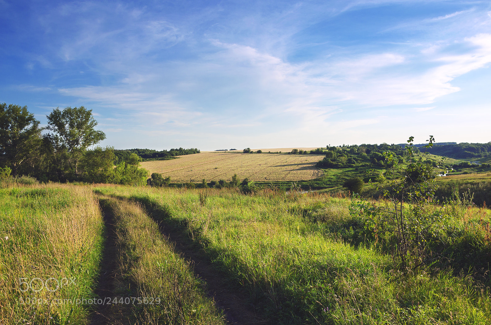 Nikon D5100 sample photo. Country landscape photography