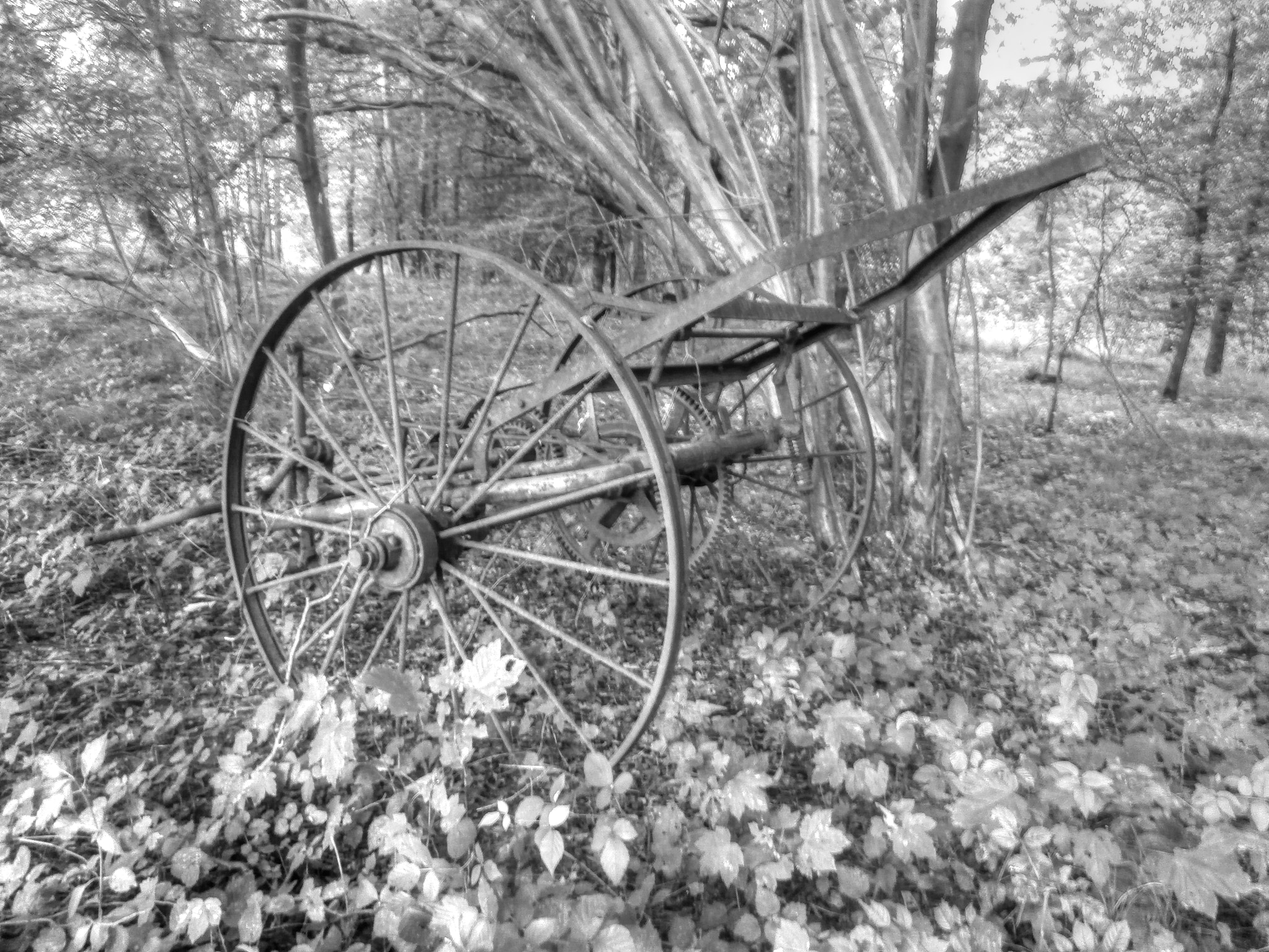Olympus VR350,D755 sample photo. Germany photography