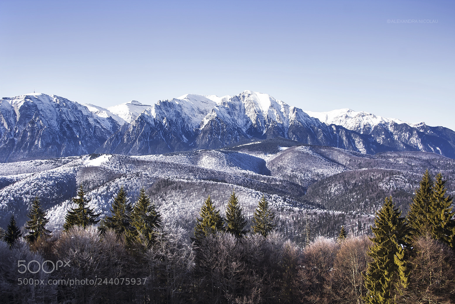 Canon EOS 60D sample photo. Winter wonderland photography