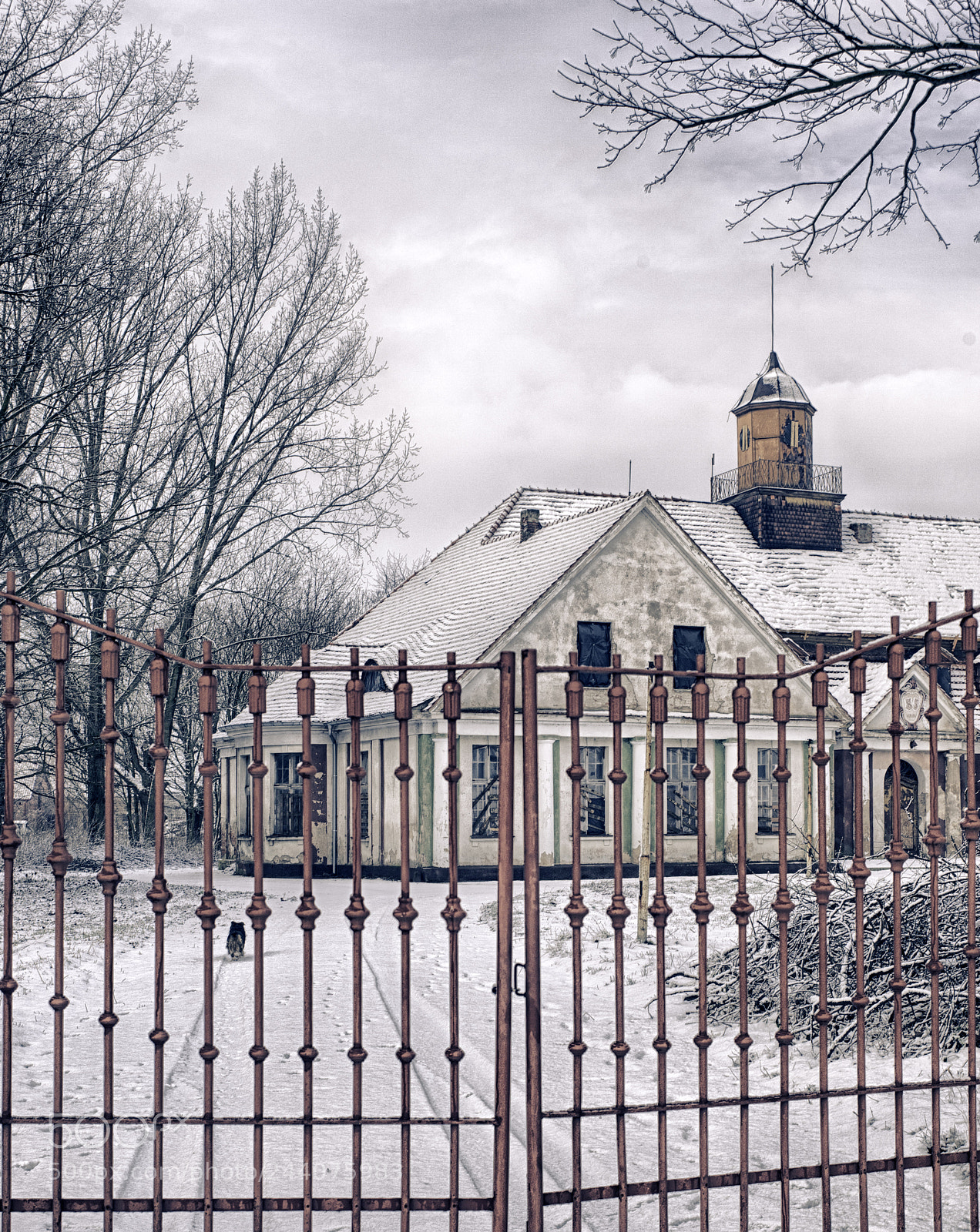 Nikon D700 sample photo. Gate photography