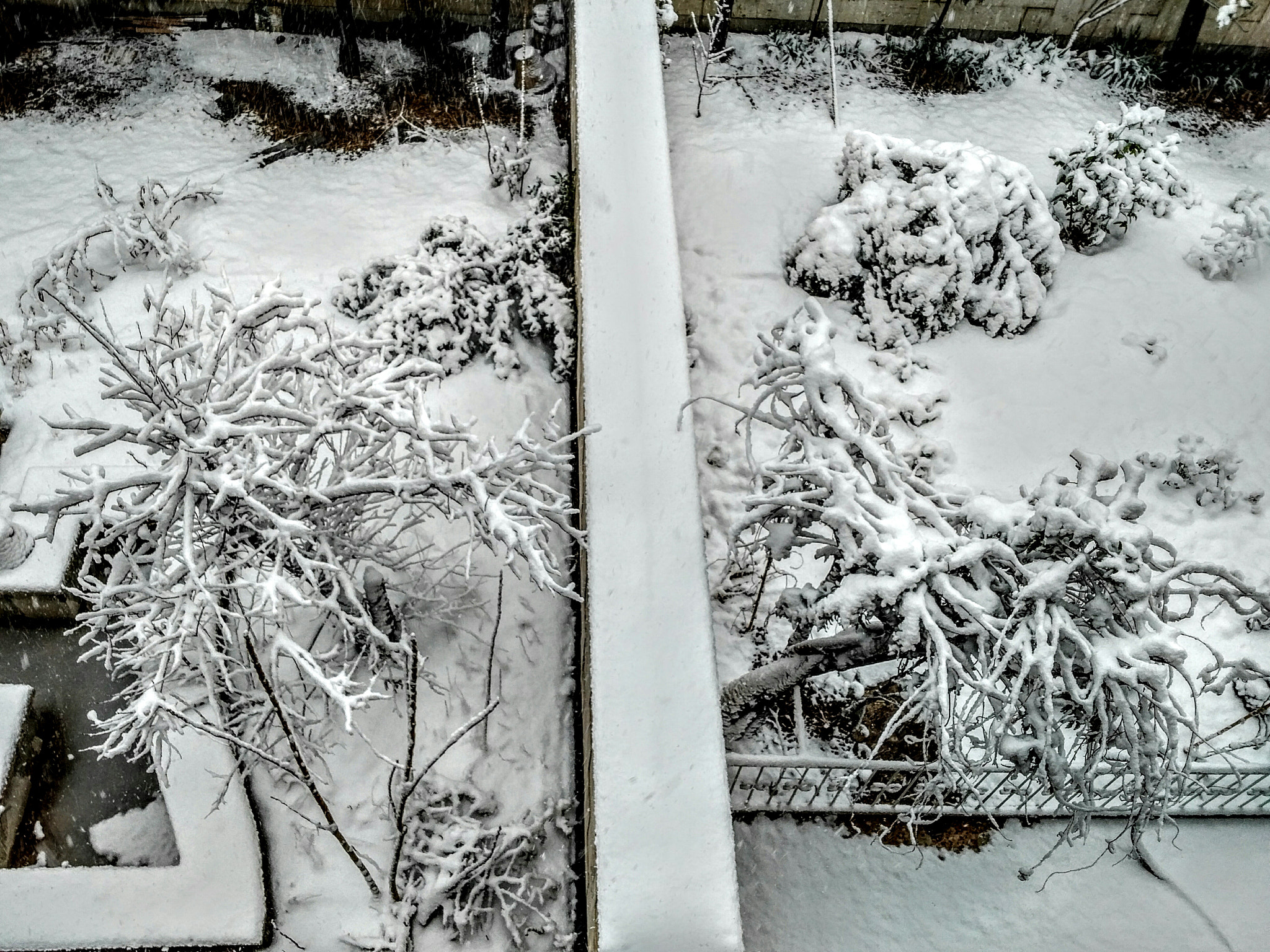 QCOM-AA QCAM-AA sample photo. Snow photography