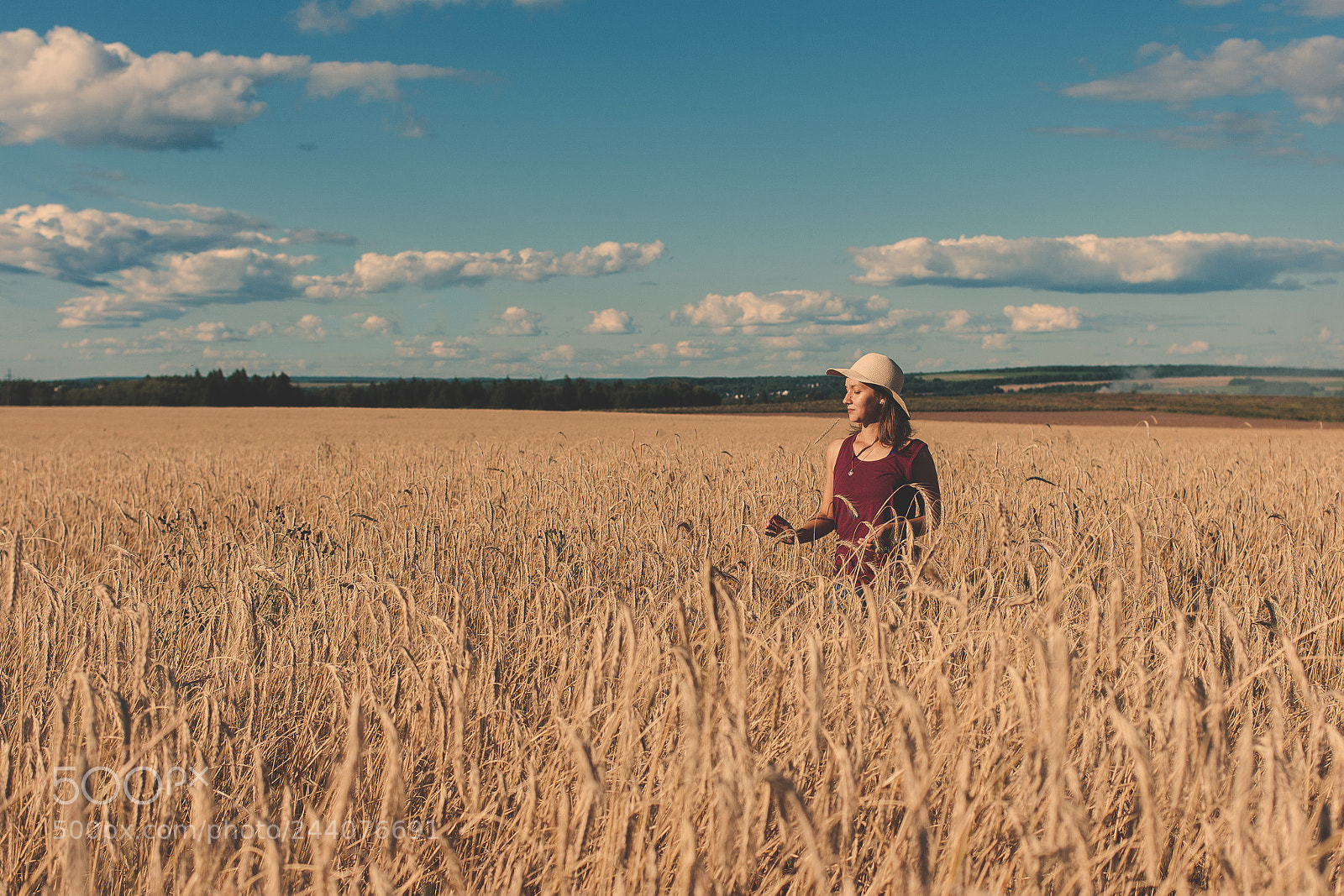 Pentax K-7 sample photo. Rye field cerenity photography