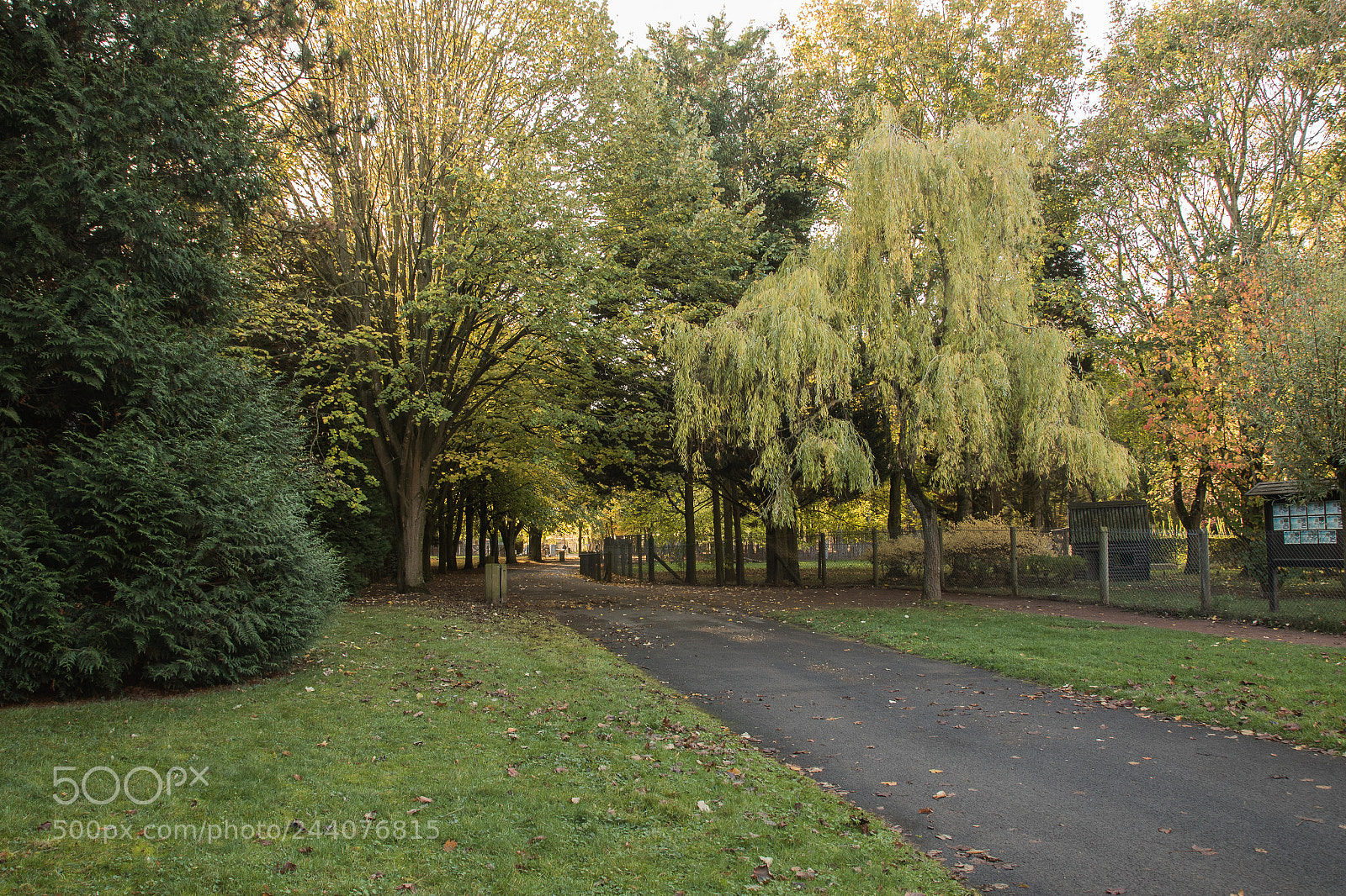 Canon EOS 7D Mark II sample photo. Ha photography