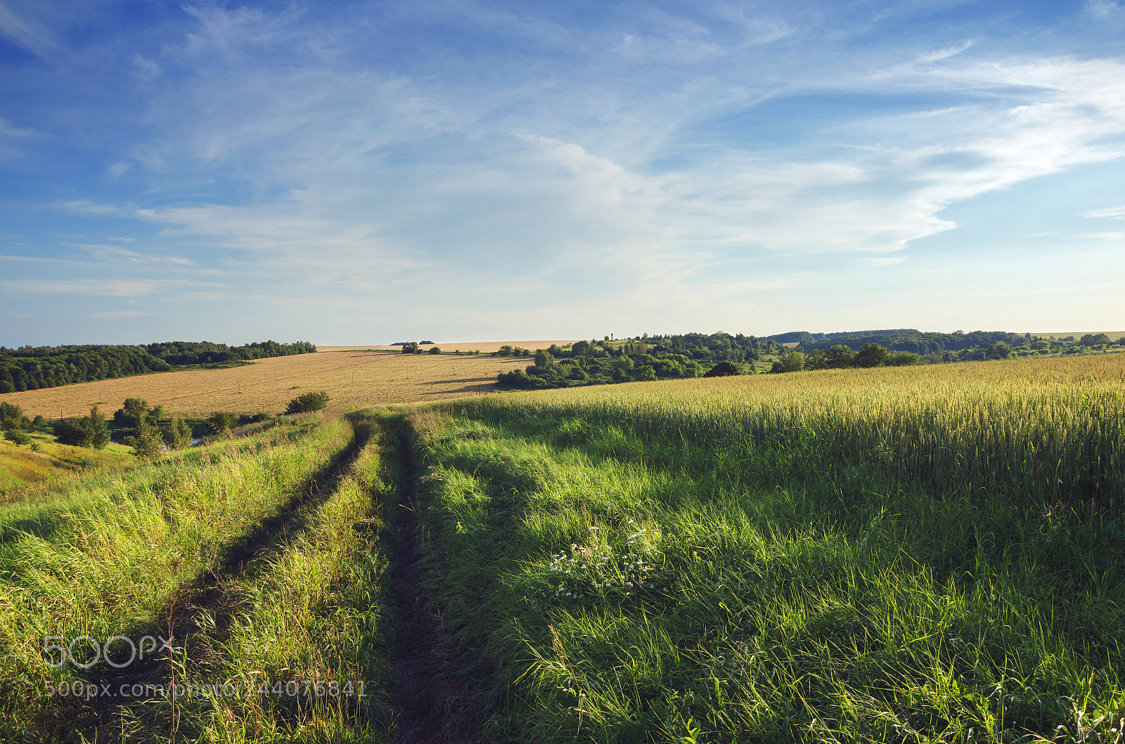 Nikon D5100 sample photo. Country road photography