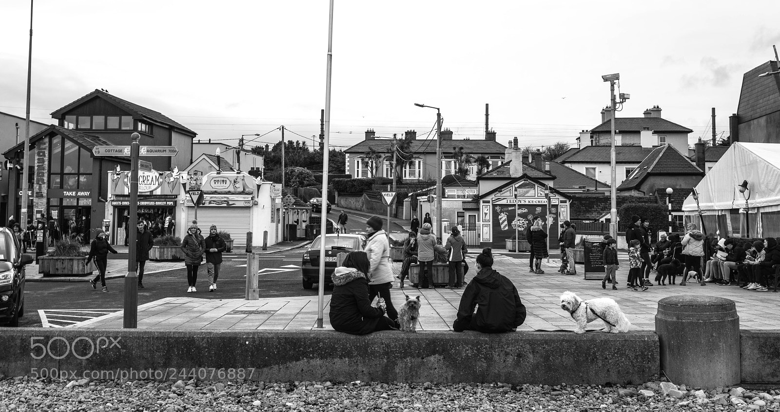 Sony a7R II sample photo. Bray afternoon photography