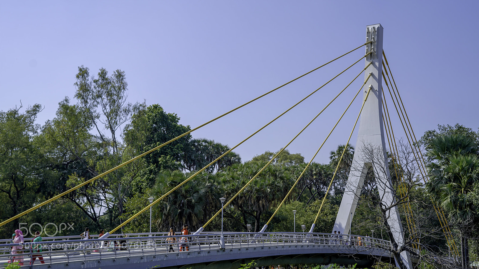 Sony a7R II sample photo. Side view cable bridge photography