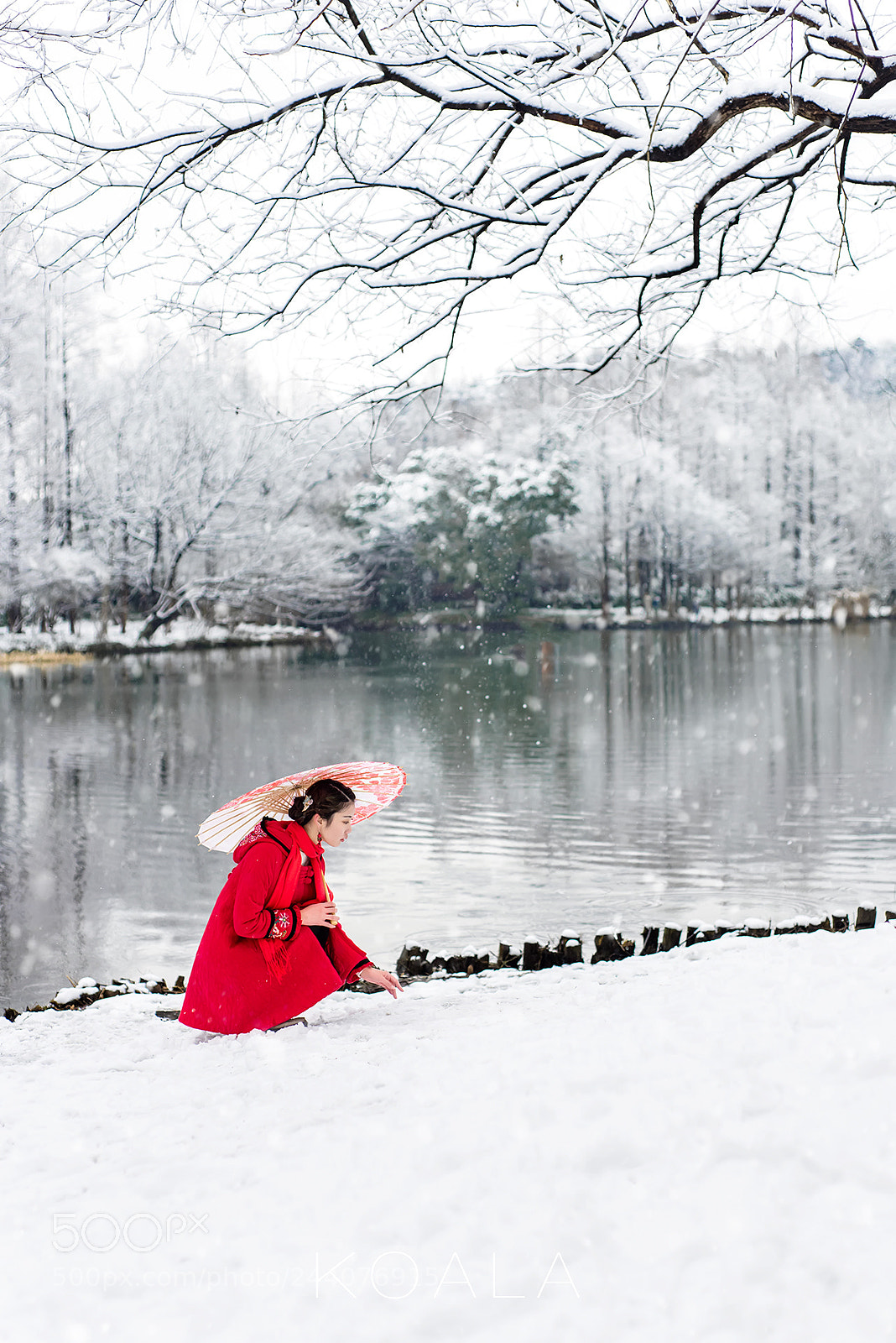 Nikon D810 sample photo. 冰晶玉洁红枝俏 photography