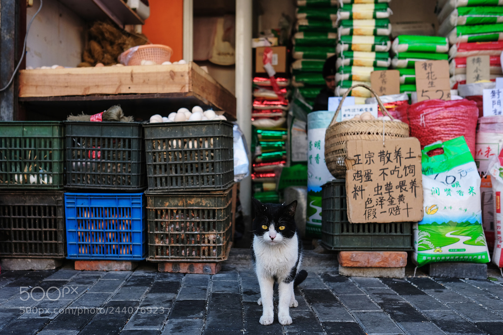 Fujifilm X-T2 sample photo. Untitled photography