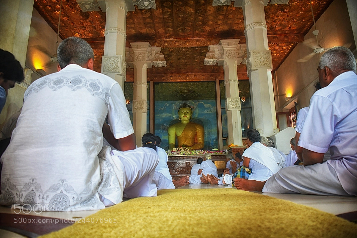Nikon D500 sample photo. Prayer photography
