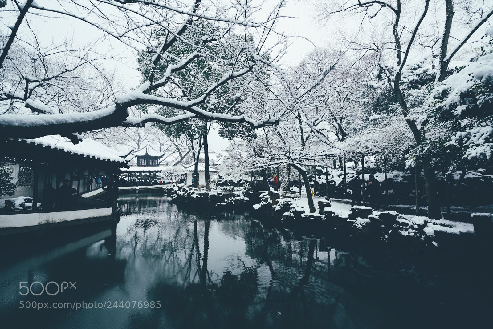 Sony a7R II sample photo. The humble administrator's garden photography