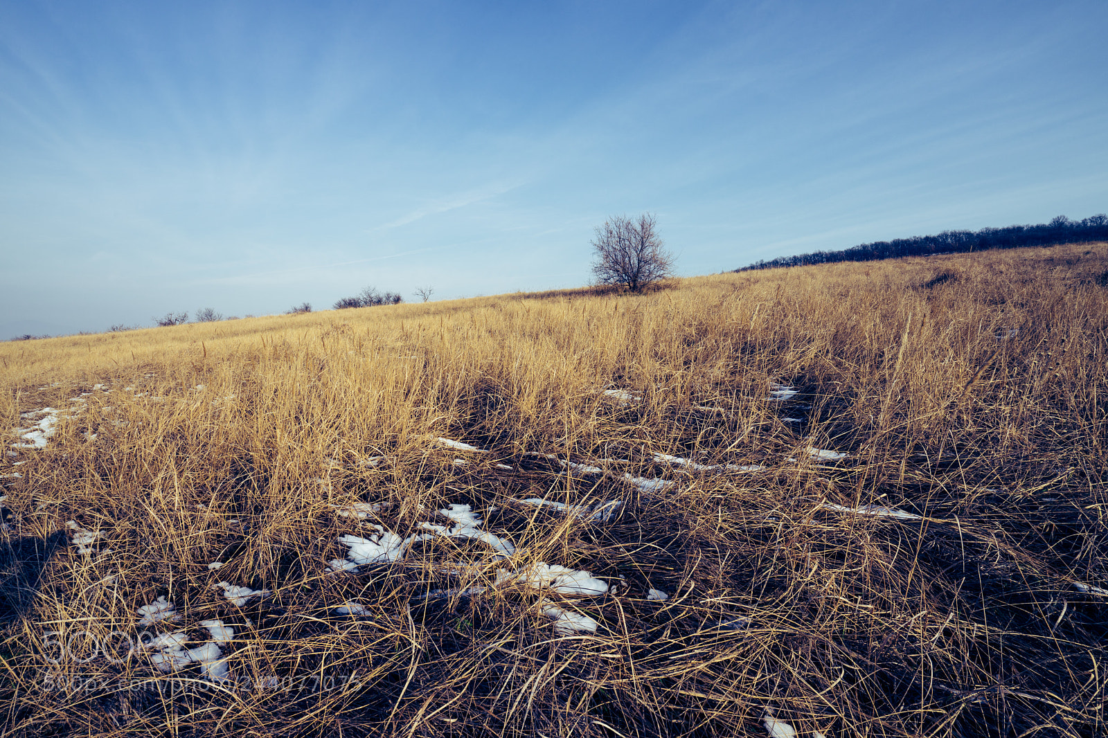 Sony a7 sample photo. Ss photography