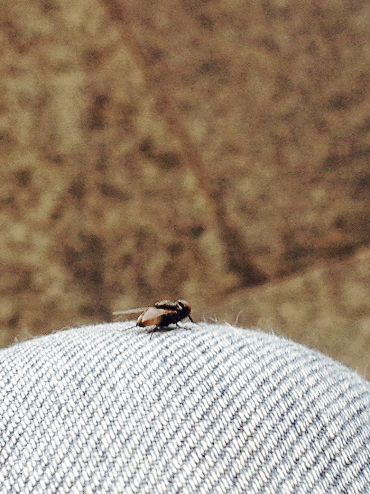 Apple iPhone 4S sample photo. Untitled photography