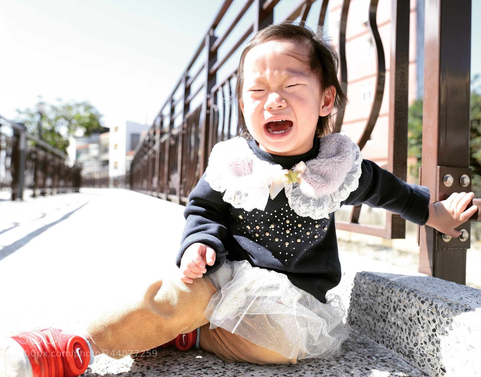 Nikon D800 sample photo. Untitled photography