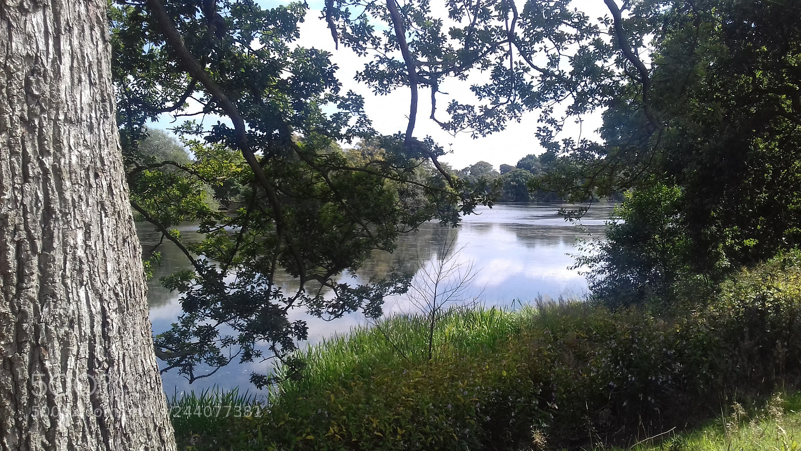 Samsung Galaxy J3(2016) sample photo. Through the trees photography