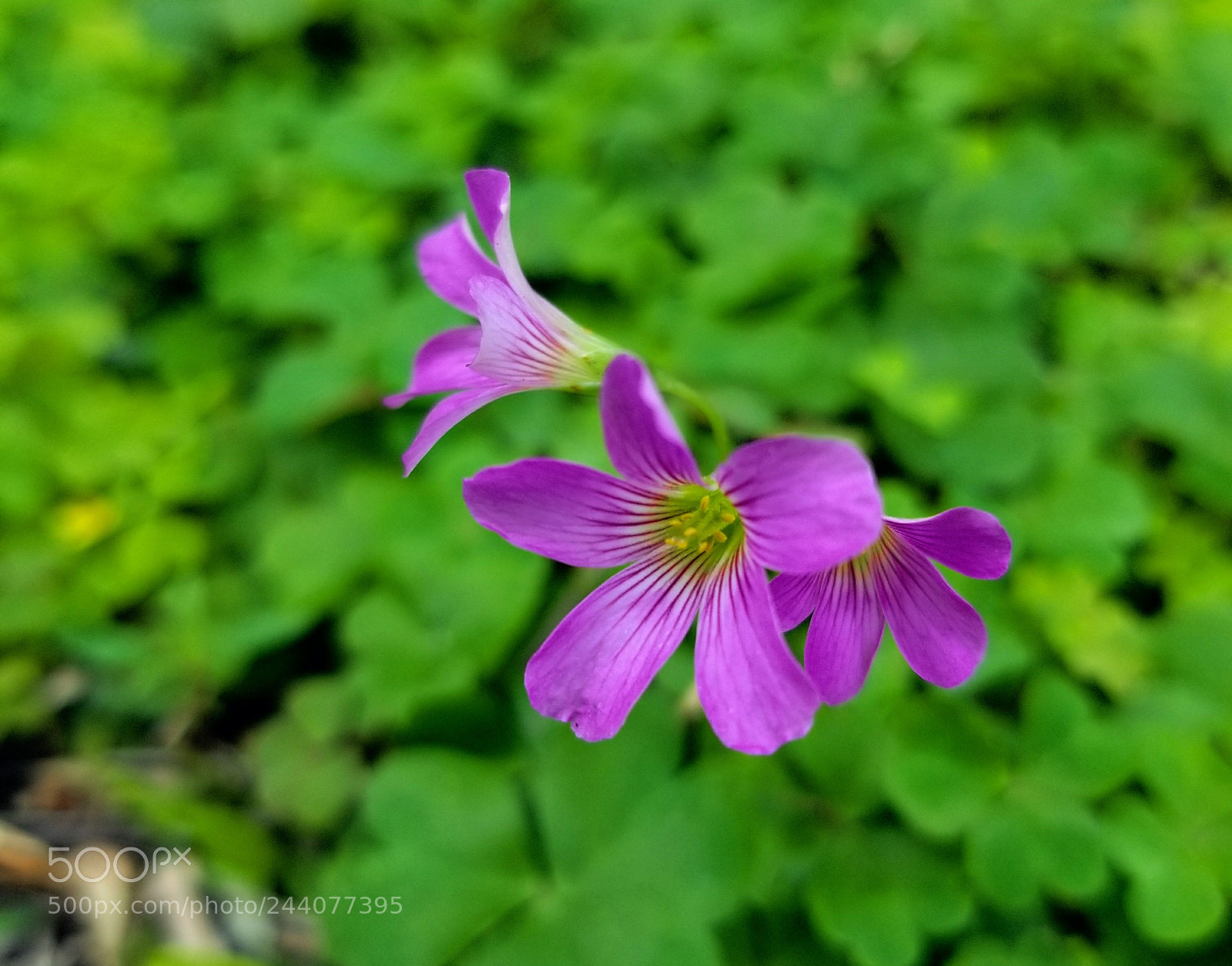 Samsung Galaxy S8 sample photo. Untitled photography
