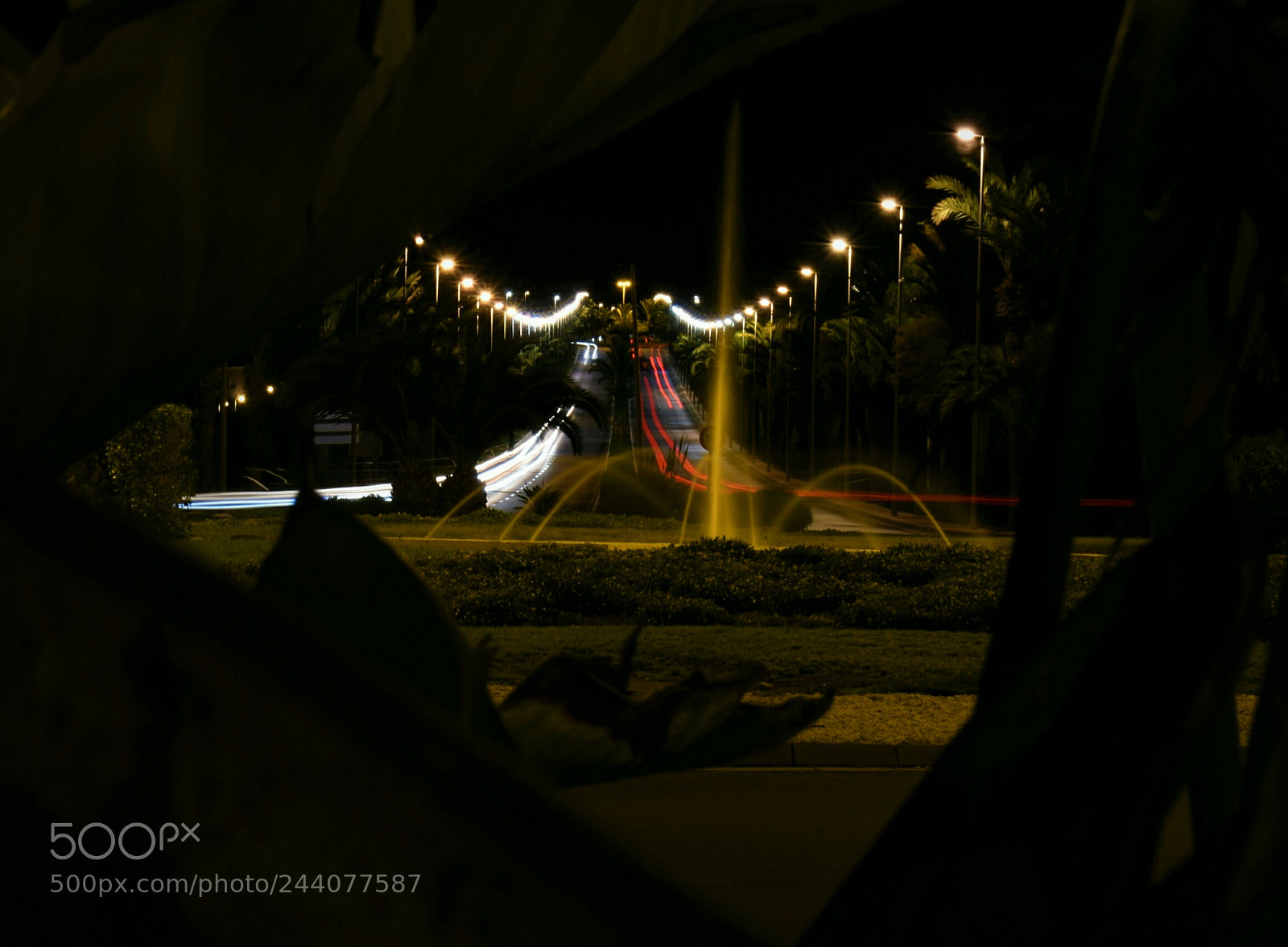 Nikon D3400 sample photo. Night photography