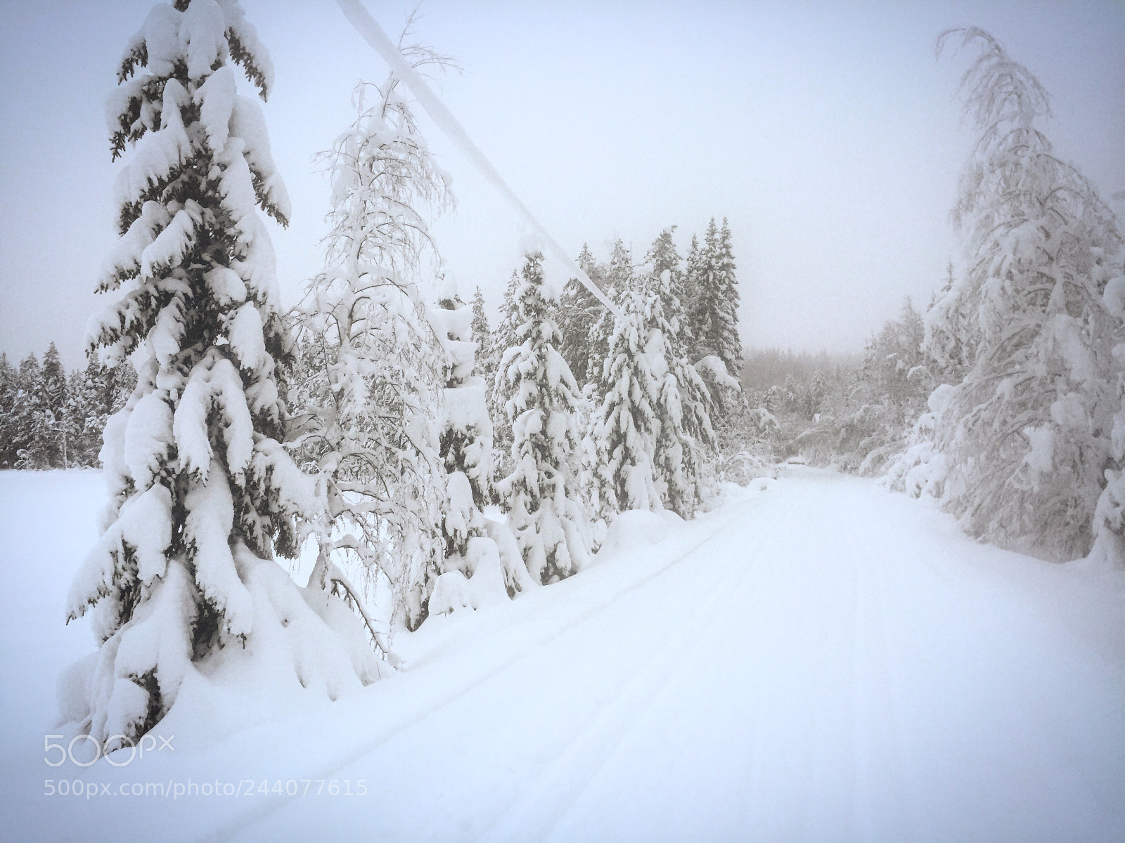 Apple iPhone 6 sample photo. Winter wonderland  photography