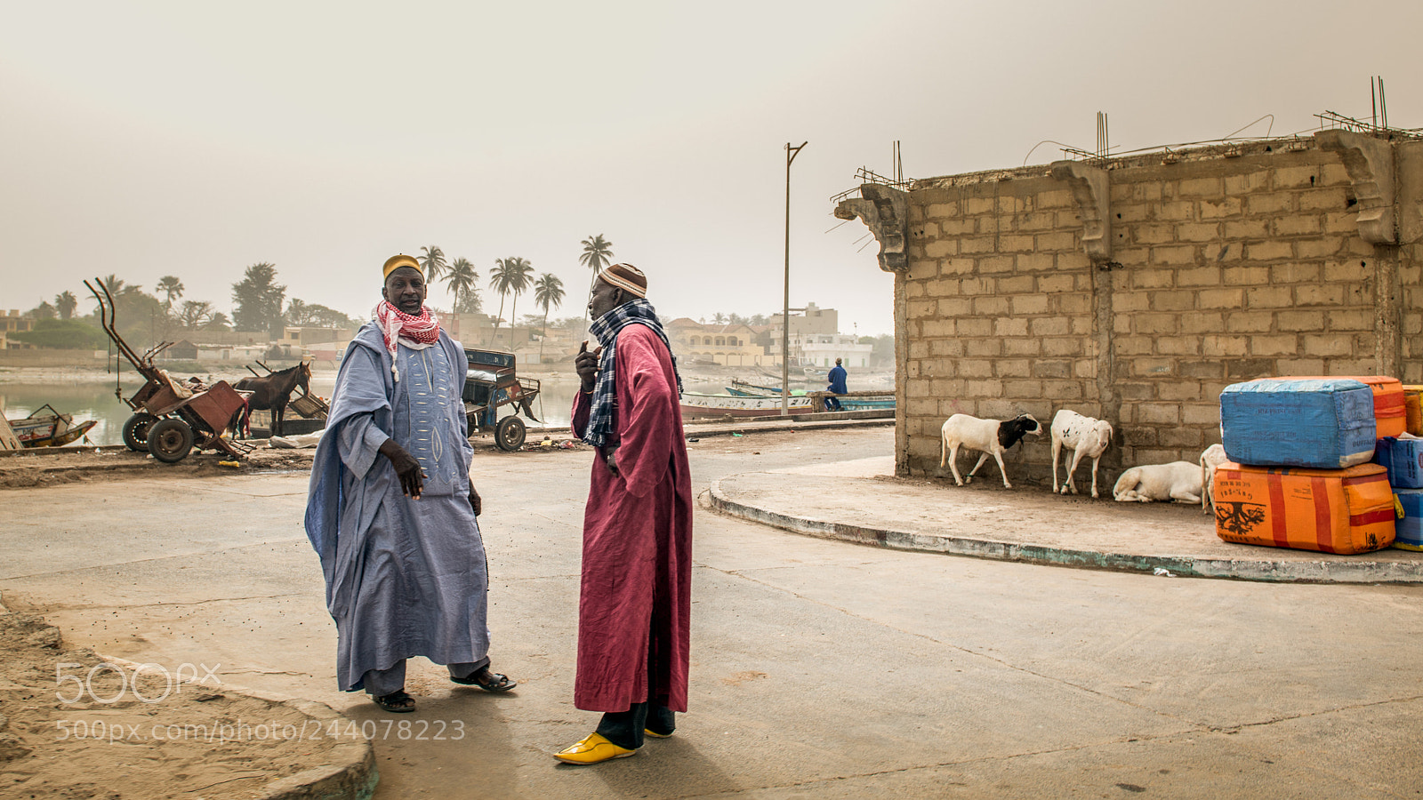 Nikon D800 sample photo. At the senegal river photography