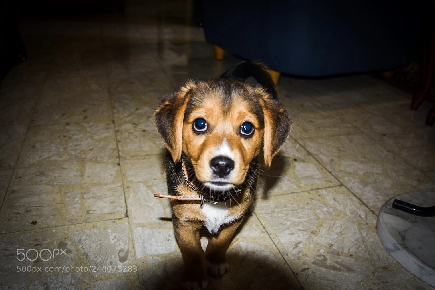 Nikon D7100 sample photo. When jack wake up!!! photography