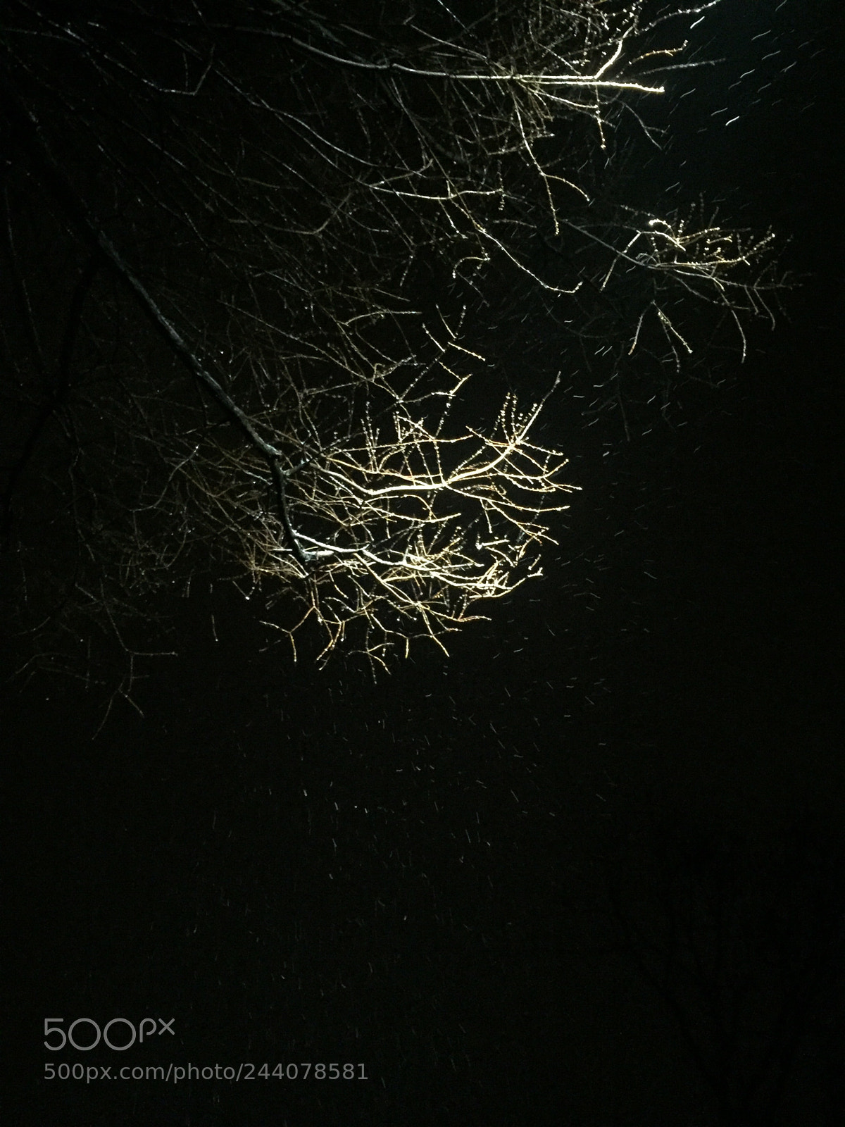 Apple iPhone 6 sample photo. Snowy night standing under photography