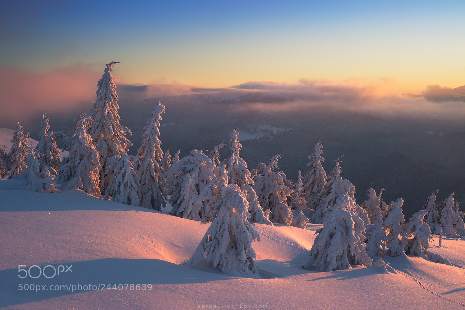Nikon D800 sample photo. Just morning in carpathians photography