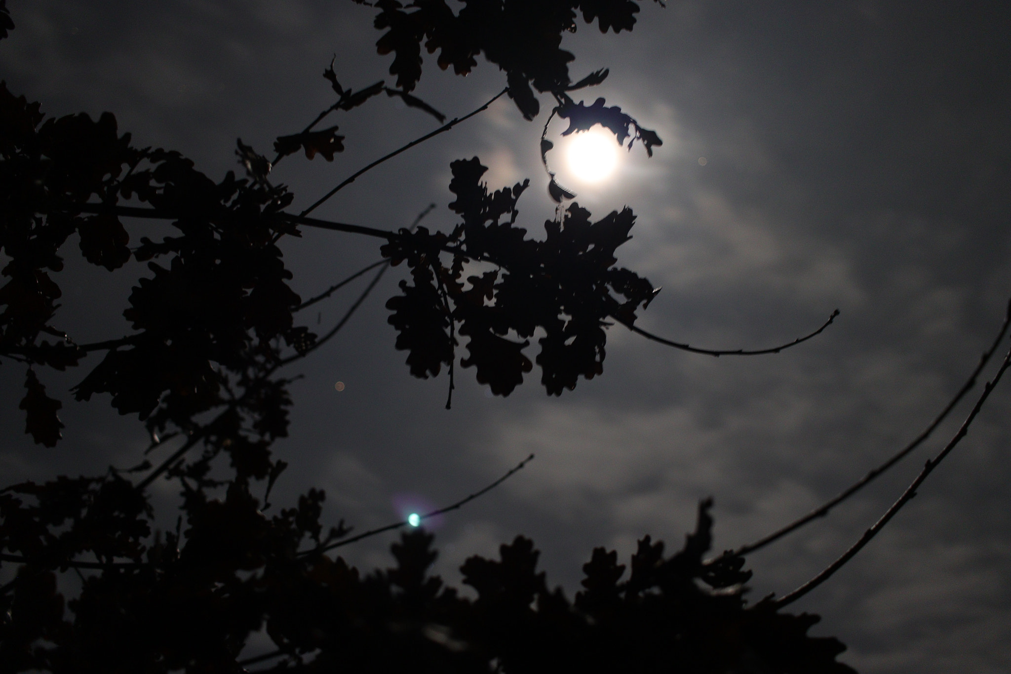 Canon EF-S 24mm F2.8 STM sample photo