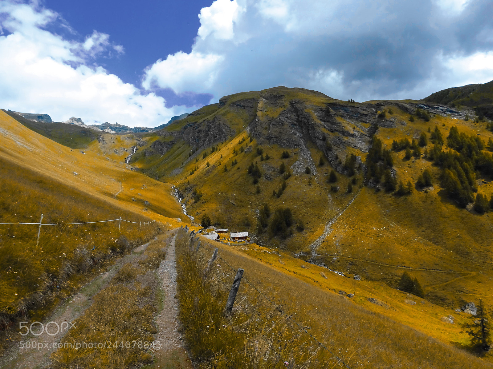 Sony Cyber-shot DSC-HX400V sample photo. Goldener herbst photography
