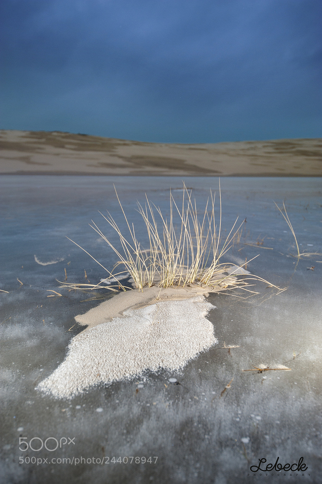 Nikon D700 sample photo. From the walking dune photography